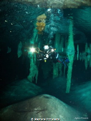 Cenote by Stephane Primatesta 